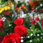 Rose Color Meanings Rose Color Meanings