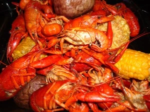Crawfish in Texarkana Crawfish in Texarkana