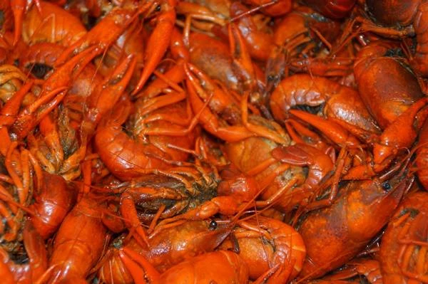 crawfish crawfish