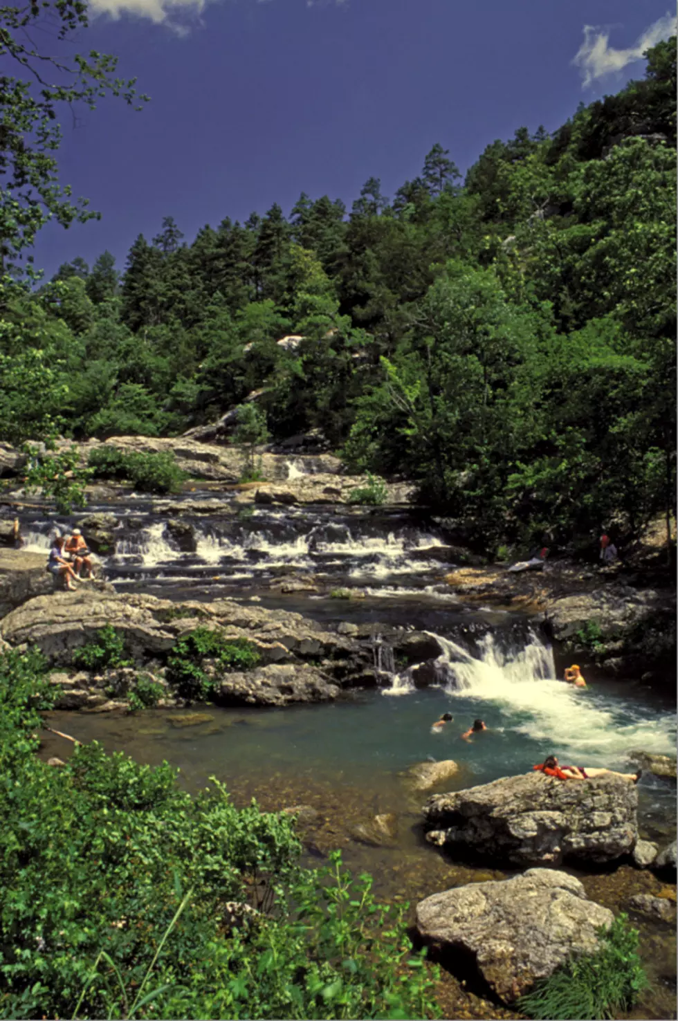 Arkansas Department of Parks & Tourism